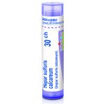 HEPAR SULFURIS CALCAREUM POR 30CH GRA 4G – Hledejceny.cz