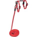 Rogz Alley Cat postroj s vodítkem pro kočky vel. XS – Zboží Dáma