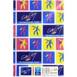 Color Copy A3, 200 g, 250 listů – Zboží Živě