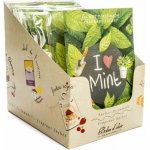 Boles d´olor Vonný sáček velký papírový 12 x 17 x 0,3 cm I Love Mint – Hledejceny.cz