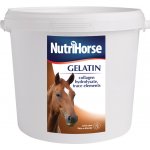 NutriHorse Gel 1 kg – Zbozi.Blesk.cz