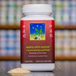 TCM Herbs Nápoj pěti hvězd z Gynostemmy pětilisté 100 g – Hledejceny.cz