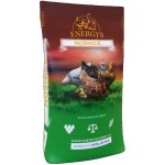 Energy´s Midi krmivo pro kuřata granulované 25 kg – Zboží Dáma