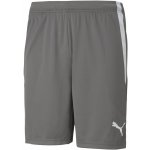 Puma teamLIGA Shorts – Zboží Dáma