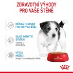 Royal Canin Mini Puppy 12 x 85 g – Hledejceny.cz