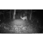 OXE Viper – Zboží Živě