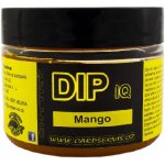 Carp Servis Václavík Mango 60 ml – Sleviste.cz