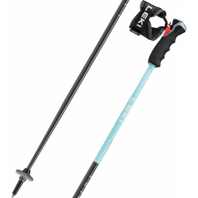 Leki Artena Airfoil 3D 2024/25 – Hledejceny.cz