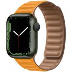 Apple Watch Series 7 45mm – Zbozi.Blesk.cz