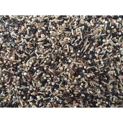 HobbyFirst premium King zwartkopsijs mengeling Luxe 2 kg – Zboží Dáma