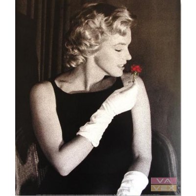 Vavex, Plakát 7872, Fotografie Marilyn Monroe, rozměr 60 x 50 cm