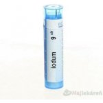 IODUM POR 9CH GRA 1X4G – Hledejceny.cz