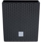 Prosperplast RATO LOW antracit 26.2 x 26.2 x 26.6 cm – Zboží Dáma