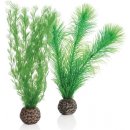 Akvarijní rostliny BiOrb Green Feather Fern set zelené 20,5 cm