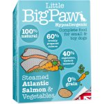 Little Big Paw Adult Dog losos a zelenina 150 g – Zboží Mobilmania