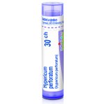 HYPERICUM PERFORATUM POR 30CH GRA 1X4G – Hledejceny.cz
