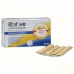 Favea Riboflavin 30 tablet – Hledejceny.cz