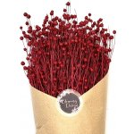 Sušený len červený, kytice/svazek 50g – Hledejceny.cz