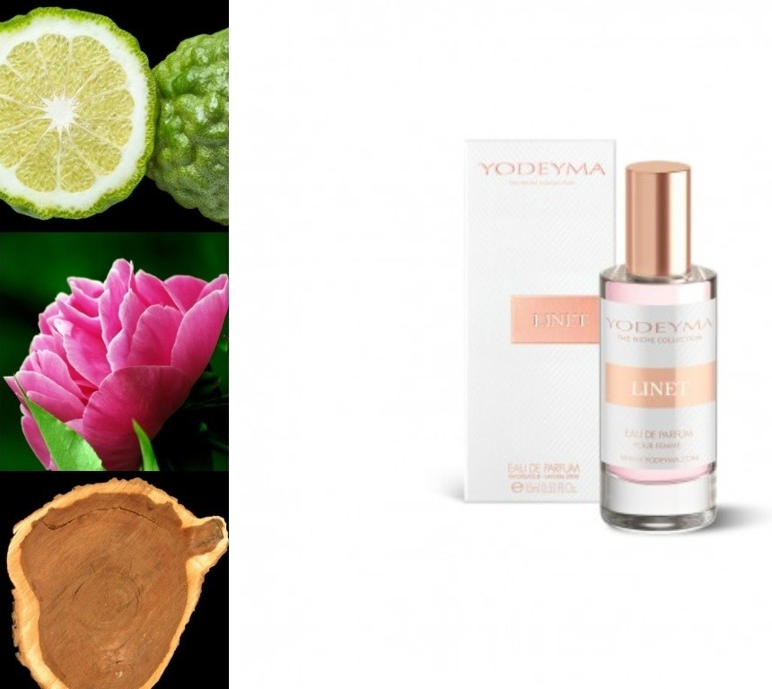 Yodeyma Linet parfémovaná voda dámská 15 ml
