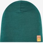 Ortovox 140 Cool Beanie zelená – Zboží Mobilmania