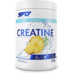 SFD NUTRITION Creatine 500 g – Zbozi.Blesk.cz