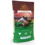 Energys Kuře Midi sypké 25 kg – Zboží Dáma