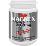 Vitabalans Magnex 375 mg +B6 250 tablet – Zbozi.Blesk.cz