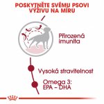 Royal Canin Medium Adult 15 kg – Hledejceny.cz