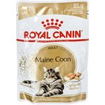 Royal Canin Mainecoon 12 x 85 g – Sleviste.cz