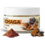 Vitateka Čaga prášek 50 g – Hledejceny.cz