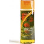 TianDe Regenerační šampon s kořenem ženšenu 200 ml – Zboží Dáma