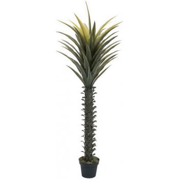 Umělá palma Yucca, 165cm