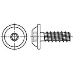 Killich šroub do plastu 6.0x20 F ZINEK půlkulatá hlava s límcem, TORX 25 Eco-syn, tupý, PLASFAST 30 [1 ks] – Hledejceny.cz