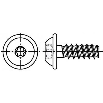 Killich šroub do plastu 6.0x20 F ZINEK půlkulatá hlava s límcem, TORX 25 Eco-syn, tupý, PLASFAST 30 [1 ks] – Hledejceny.cz