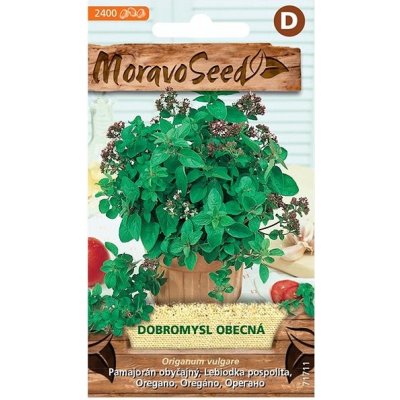 MORAVOSEED CZ Dobromysl obecná - oregano – Hledejceny.cz