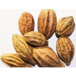 Rymer vykuřovadla Vrcholák Arjuna celý plod 20 g – Sleviste.cz