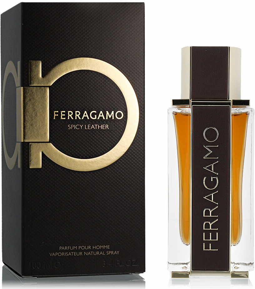 Ferragamo Ferragamo Spicy Leather parfémovaná voda pánská 100 ml
