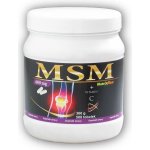 Nutri Star MSM 600 mg 500 kapslí – Hledejceny.cz