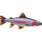 SPORTS polštář PSTRUH dúhový 62 – Sleviste.cz