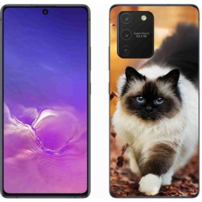 Pouzdro mmCase Gelové Samsung Galaxy S10 Lite - kočka 1 – Zboží Mobilmania