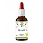 Salvia Paradise Lípa srdčitá AF tinktura 50 ml – Hledejceny.cz