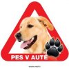 Autovýbava Grel nálepka na plech pozor pes v autě labrador světlý