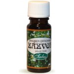 Saloos esenciální olej Zázvor 5 ml – Hledejceny.cz