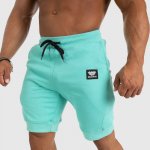 Iron Aesthetics Badge tyrkys – Sleviste.cz