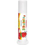 North American Herb & Spice Bylinná pro děti jahoda 96 g – Hledejceny.cz
