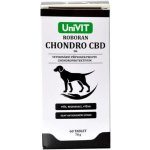Roboran Chondro CBD 60 tbl – Hledejceny.cz