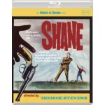 Shane BD – Sleviste.cz
