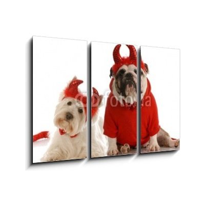 Obraz 3D třídílný - 105 x 70 cm - two devils - bulldog and west highland white terrier dva ďábli – Hledejceny.cz