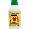 Vitamín a minerál ChildLife Liquid Calcium with Magnesium, Tekutý vápník a hořčík, Natural Pomeranč, 473 ml