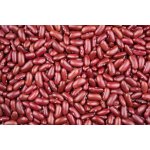 Les fruits du paradis Fazole červená Kidney Bio 25 kg – Zboží Dáma